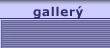 Galler Sveinbjrns